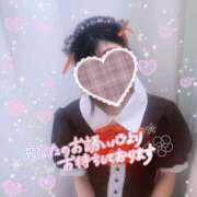 ヒメ日記 2025/11/11 14:54 投稿 石垣かおり 渋谷ミルク