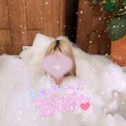 ヒメ日記 2025/11/27 14:25 投稿 石垣かおり 渋谷ミルク