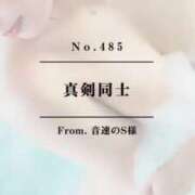 ヒメ日記 2025/04/09 12:42 投稿 早坂　エリサ アムアージュ