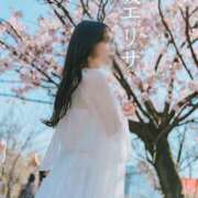 ヒメ日記 2025/04/10 07:22 投稿 早坂　エリサ アムアージュ