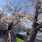 ヒメ日記 2025/04/11 13:42 投稿 早坂　エリサ アムアージュ