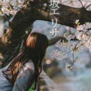 ヒメ日記 2025/04/15 10:47 投稿 早坂　エリサ アムアージュ