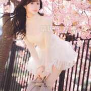 ヒメ日記 2026/04/01 15:52 投稿 早坂　エリサ アムアージュ