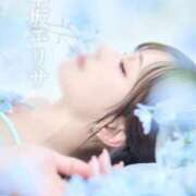 ヒメ日記 2026/06/09 07:33 投稿 早坂　エリサ アムアージュ