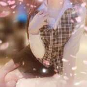 ヒメ日記 2026/04/30 10:52 投稿 星咲　きらら アムアージュ