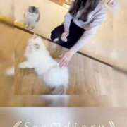 ヒメ日記 2025/03/29 14:42 投稿 椿　さえ アムアージュ