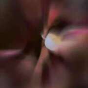 ヒメ日記 2025/04/12 11:19 投稿 椿　さえ アムアージュ