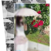 ヒメ日記 2025/07/29 18:03 投稿 椿　さえ アムアージュ