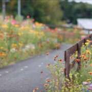 ヒメ日記 2025/10/07 19:32 投稿 椿　さえ アムアージュ
