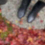 ヒメ日記 2024/12/26 14:42 投稿 空山　かのん アムアージュ