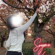 ヒメ日記 2025/11/20 05:02 投稿 空山　かのん アムアージュ