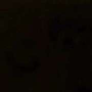 ヒメ日記 2025/12/02 11:52 投稿 空山　かのん アムアージュ