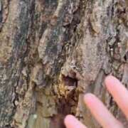 ヒメ日記 2025/12/04 06:52 投稿 空山　かのん アムアージュ