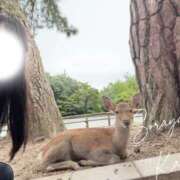ヒメ日記 2025/12/13 21:32 投稿 空山　かのん アムアージュ