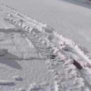 ヒメ日記 2026/01/15 12:22 投稿 空山　かのん アムアージュ