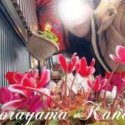 ヒメ日記 2026/02/12 19:55 投稿 空山　かのん アムアージュ