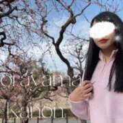 ヒメ日記 2026/02/25 08:02 投稿 空山　かのん アムアージュ