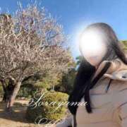 ヒメ日記 2026/03/11 17:02 投稿 空山　かのん アムアージュ