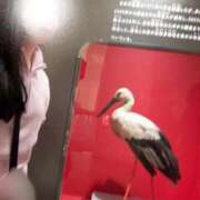 ヒメ日記 2026/03/20 05:32 投稿 空山　かのん アムアージュ