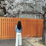 ヒメ日記 2026/03/24 07:22 投稿 空山　かのん アムアージュ