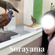 ヒメ日記 2026/04/02 07:46 投稿 空山　かのん アムアージュ