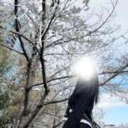 ヒメ日記 2026/04/04 15:52 投稿 空山　かのん アムアージュ