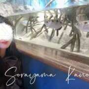 ヒメ日記 2026/04/06 18:22 投稿 空山　かのん アムアージュ