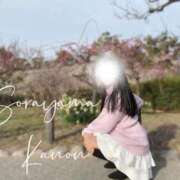 ヒメ日記 2026/04/07 09:17 投稿 空山　かのん アムアージュ