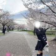 ヒメ日記 2026/04/09 17:02 投稿 空山　かのん アムアージュ