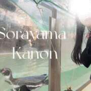 ヒメ日記 2026/04/14 05:32 投稿 空山　かのん アムアージュ