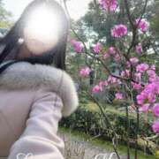 ヒメ日記 2026/04/16 07:22 投稿 空山　かのん アムアージュ