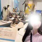 ヒメ日記 2026/04/21 04:02 投稿 空山　かのん アムアージュ