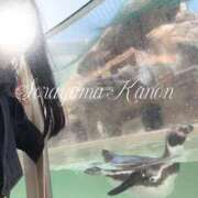 ヒメ日記 2026/04/24 08:02 投稿 空山　かのん アムアージュ