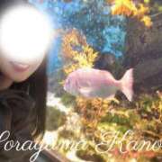 ヒメ日記 2026/04/25 05:42 投稿 空山　かのん アムアージュ