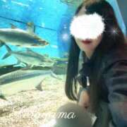 ヒメ日記 2026/04/26 08:05 投稿 空山　かのん アムアージュ