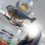 ヒメ日記 2026/05/15 04:02 投稿 空山　かのん アムアージュ