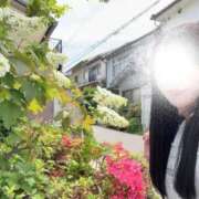 ヒメ日記 2026/06/26 05:22 投稿 空山　かのん アムアージュ