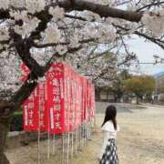 ヒメ日記 2025/04/22 11:45 投稿 あさひ 大阪デリヘル学園