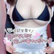 ヒメ日記 2025/04/24 11:43 投稿 こはる ぽちゃSPA