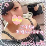 ヒメ日記 2025/03/04 17:01 投稿 ほたる 恋愛マット同好会