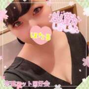 ヒメ日記 2025/04/01 17:28 投稿 ほたる 恋愛マット同好会