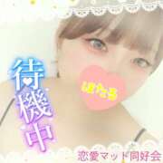 ヒメ日記 2025/04/19 16:18 投稿 ほたる 恋愛マット同好会