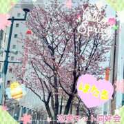 ヒメ日記 2025/04/24 17:19 投稿 ほたる 恋愛マット同好会