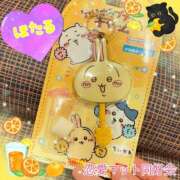 ヒメ日記 2025/05/03 18:48 投稿 ほたる 恋愛マット同好会