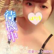 ヒメ日記 2025/09/12 16:58 投稿 ほたる 恋愛マット同好会