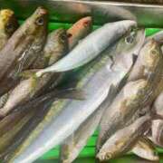 ヒメ日記 2025/08/23 22:40 投稿 かんな ニューハーフ・女装娘・男の娘系デリヘルのドレスガーデン渋谷店