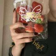 ツムギ こめんなさい🥲‎ バニーコレクション秋田店