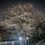 ヒメ日記 2025/04/05 22:15 投稿 いつき 君とふわふわプリンセスin川越