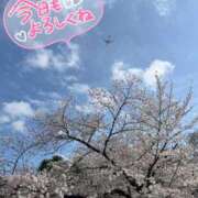 ヒメ日記 2025/04/08 09:22 投稿 ゆう 新宿クリスタル