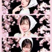 ヒメ日記 2026/04/01 09:00 投稿 ゆう 新宿クリスタル